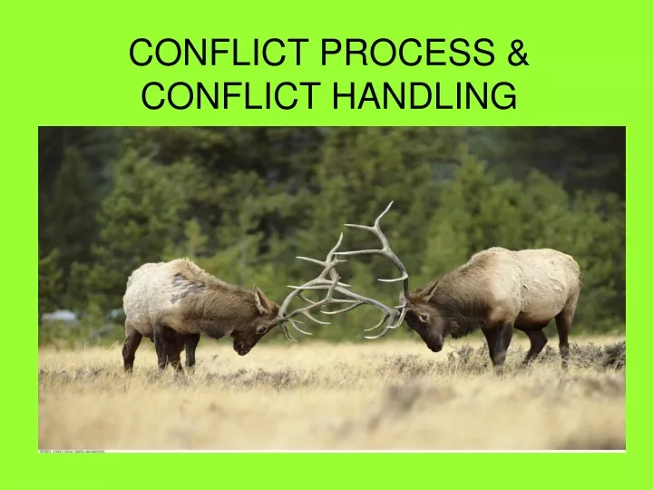 conflict process conflict handling