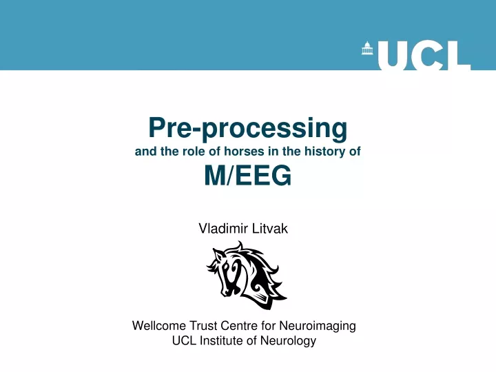 pre processing and the role of horses in the history of m eeg
