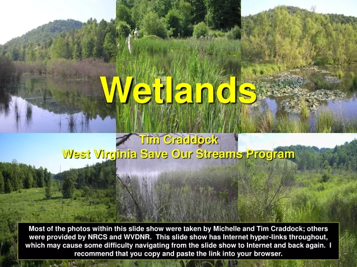 wetlands tim craddock west virginia save
