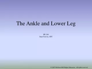 The Ankle and Lower Leg PE 236 Juan Cuevas, ATC