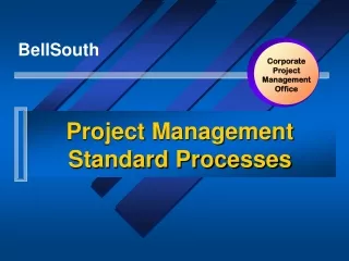 Project Management Standard Processes