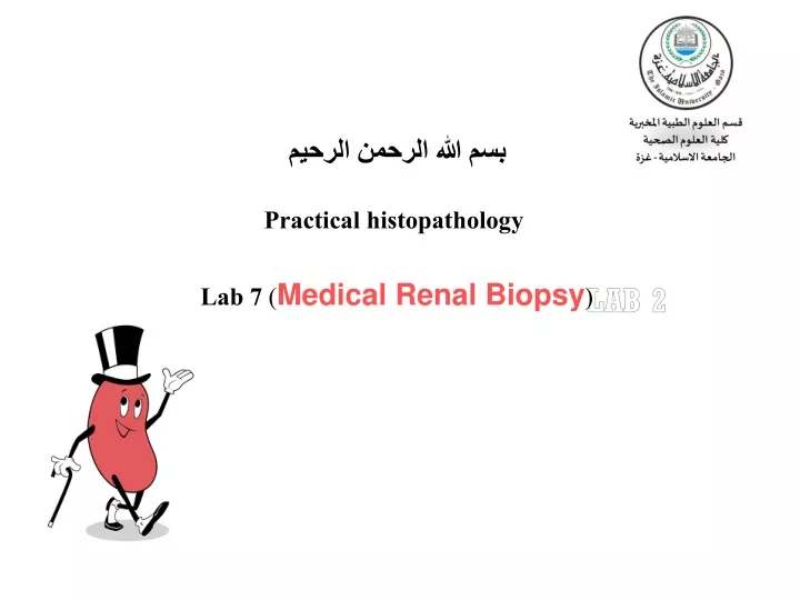 practical histopathology lab 7 medical renal