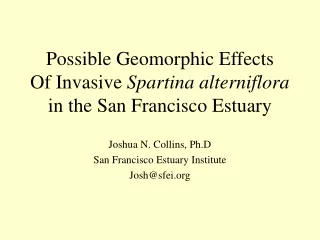 Possible Geomorphic Effects Of Invasive  Spartina alterniflora in the San Francisco Estuary