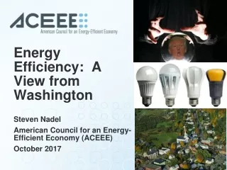 Energy Efficiency:  A View from Washington