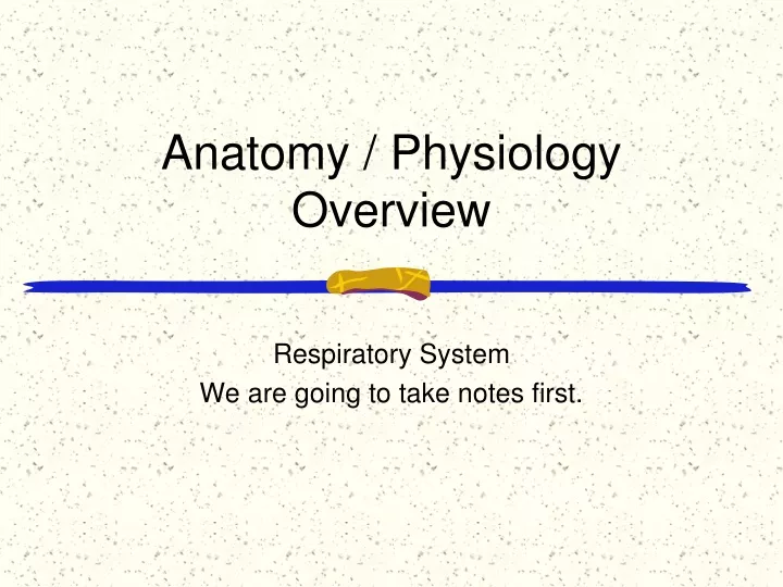 anatomy physiology overview