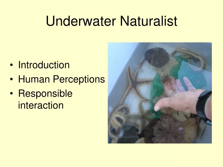 underwater naturalist