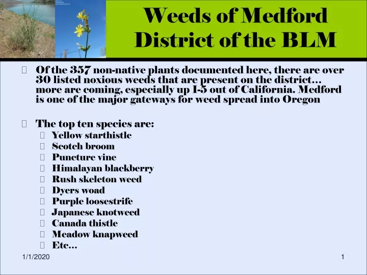 weeds of medford district of the blm