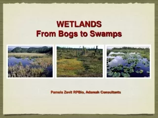 WETLANDS From Bogs to Swamps