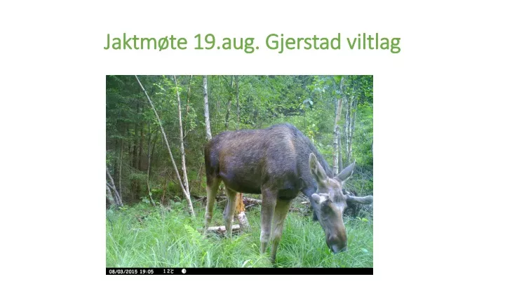 jaktm te 19 aug gjerstad viltlag