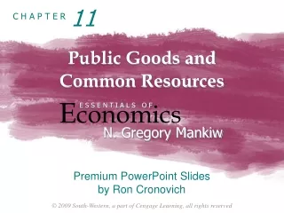 Public Goods and  Common Resources