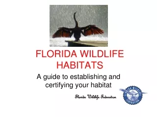 FLORIDA WILDLIFE HABITATS