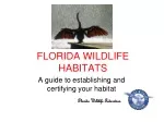 FLORIDA WILDLIFE HABITATS - slide 1