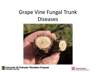 Grape Vine Fungal Trunk Diseases