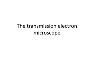 The transmission electron microscope