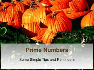 Prime Numbers