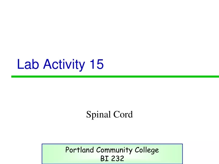 lab activity 15