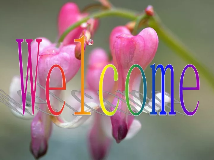 welcome