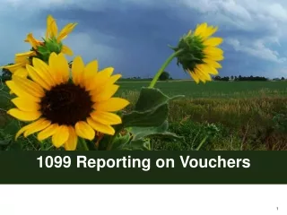 1099 Reporting on Vouchers