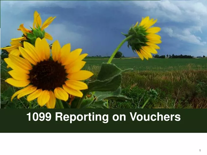 1099 reporting on vouchers