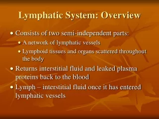 Lymphatic System: Overview