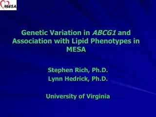 Genetic Variation in  ABCG1  and Association with Lipid Phenotypes in MESA