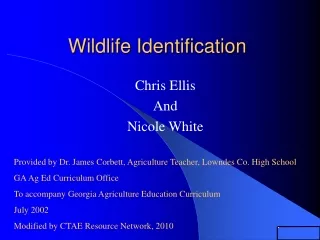 Wildlife Identification