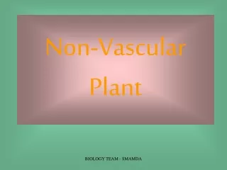 Non-Vascular Plant
