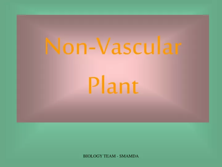 non vascular plant