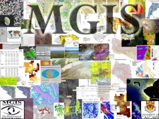 MGIS Projects