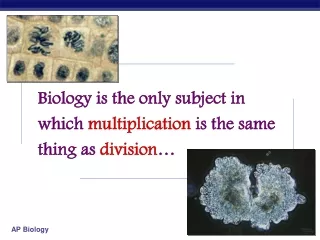 Biology is the only subject in which  multiplication  is the same thing as  division …