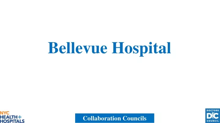 bellevue hospital