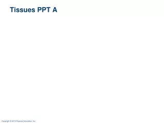 Tissues PPT A