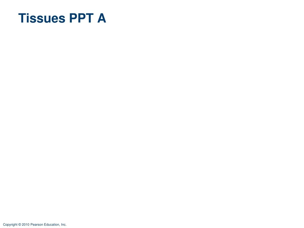 Tissues: Epithelial, Connective, Muscle, Nerve Tissue - slide 1
