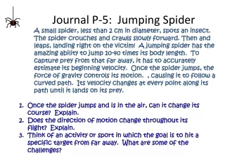 Journal P-5:  Jumping Spider