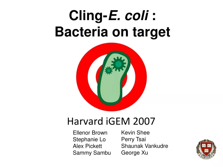 cling e coli bacteria on target