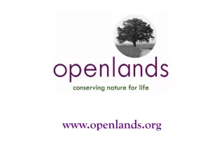 openlands