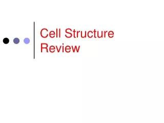 Cell Structure Review