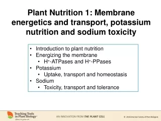 Introduction to plant nutrition Energizing the membrane H + -ATPases and H + -PPases Potassium
