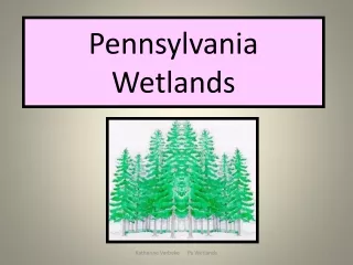 Pennsylvania Wetlands