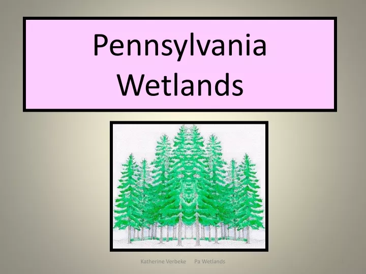 pennsylvania wetlands