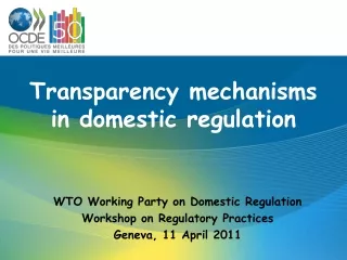 Transparency mechanisms in domestic regulation