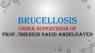 Brucellosis under supervision of  Prof./ Sherein Saeid Abdelgayed