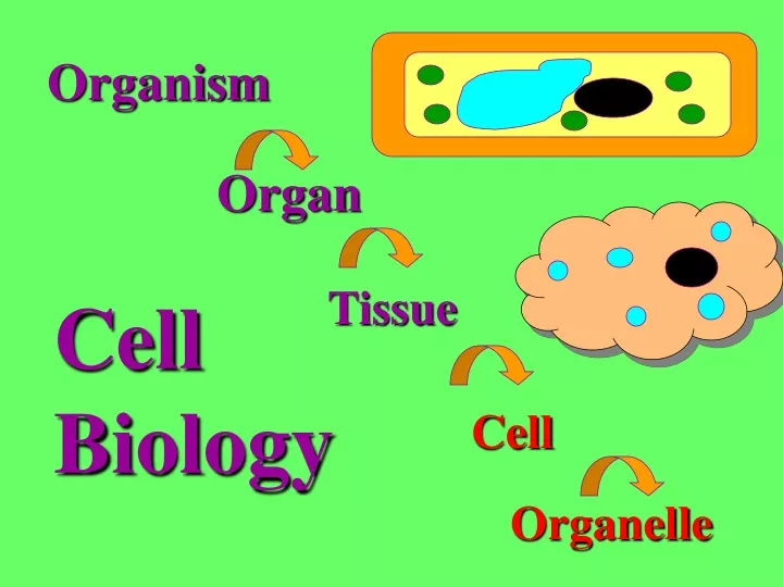 organism