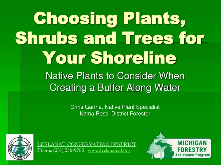 choosing plants shrubs and trees for your shoreline