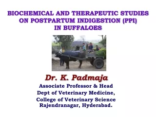 BIOCHEMICAL AND THERAPEUTIC STUDIES ON POSTPARTUM INDIGESTION (PPI)  IN BUFFALOES
