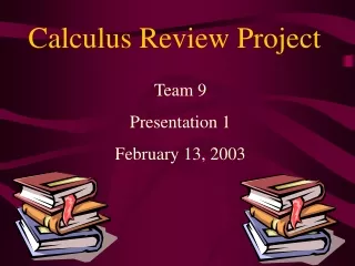 Calculus Review Project