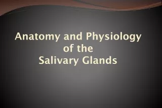 Anatomy and Physiology of the Salivary Glands