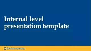 Internal level  presentation template