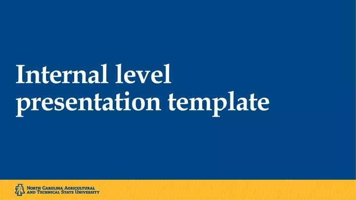 internal level presentation template