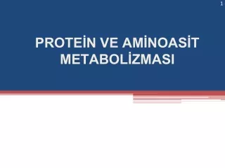 PROTEİN VE AMİNOASİT METABOLİZMASI